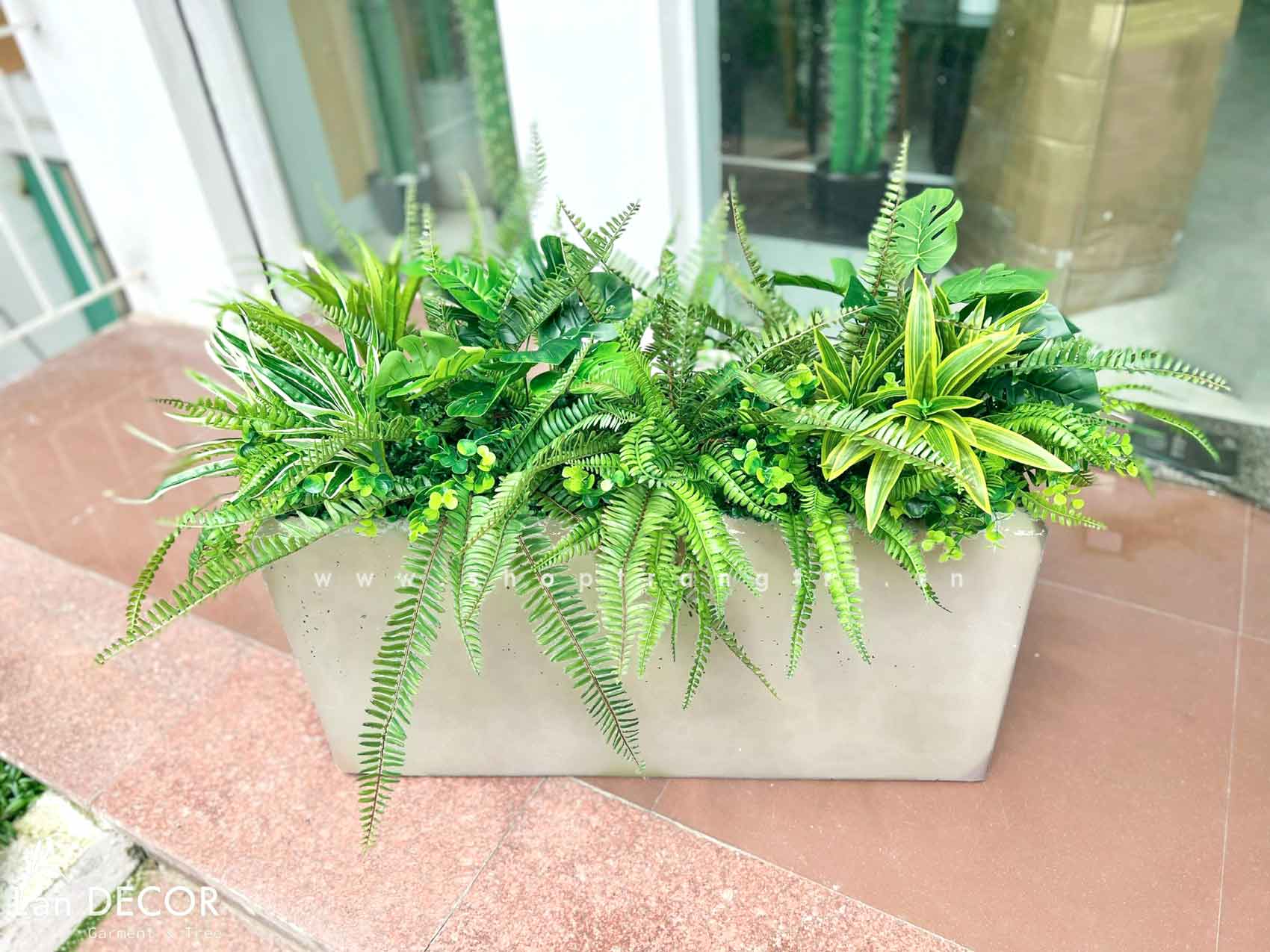 TỔNG HỢP NHỮNG MẪU BỒN CÂY TRANG TRÍ TIỂU CẢNH XANH MÁT