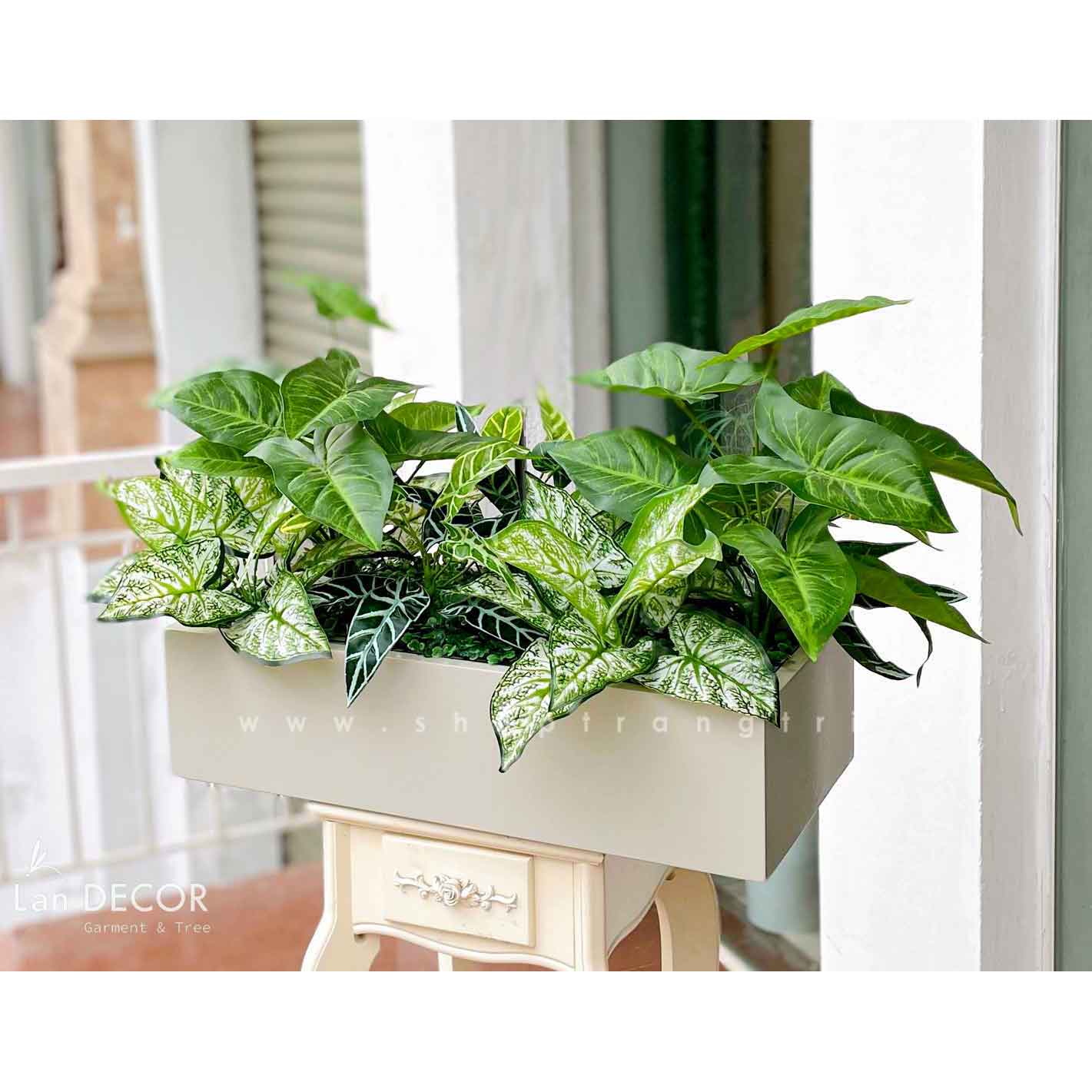 Bồn cây lá môn trang trí tiểu cảnh Lan Decor - BC105