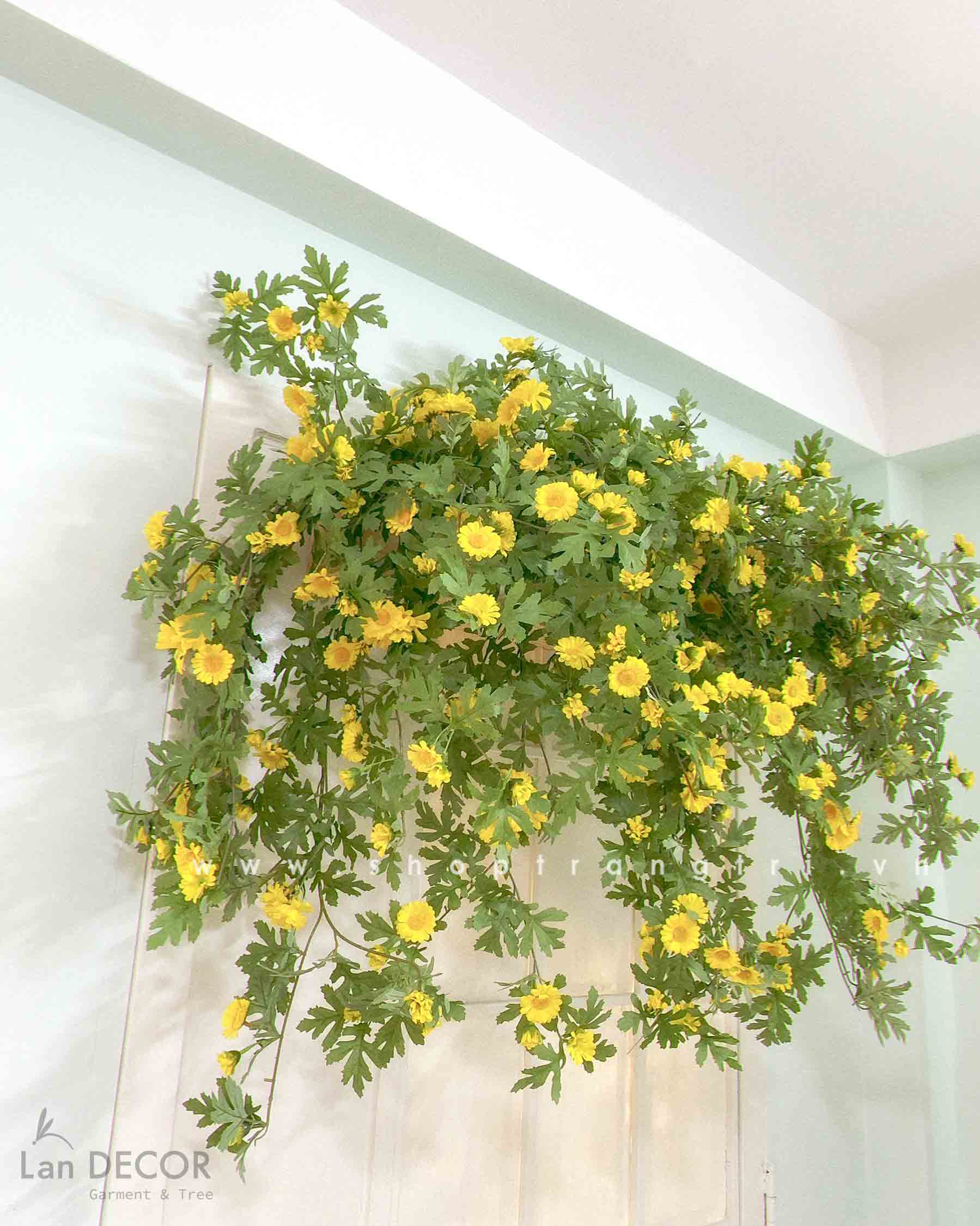 BỒN HOA DÃ QUỲ TRANG TRÍ SANG TRỌNG, ĐỘC ĐÁO (80CM) - BC115