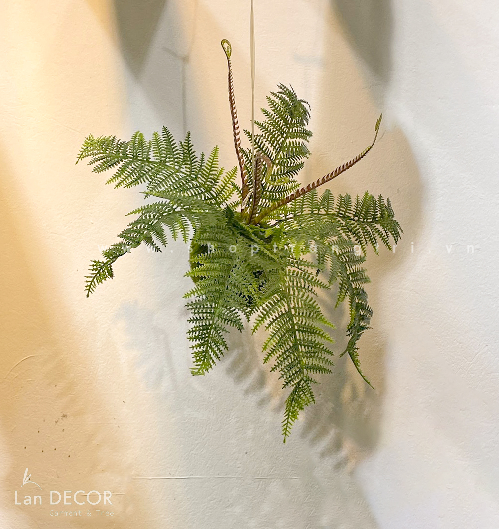 Quả cầu rêu dương xỉ treo trang trí decor nội thất, quán cà phê,cửa tiệm Lan Decor - CC616