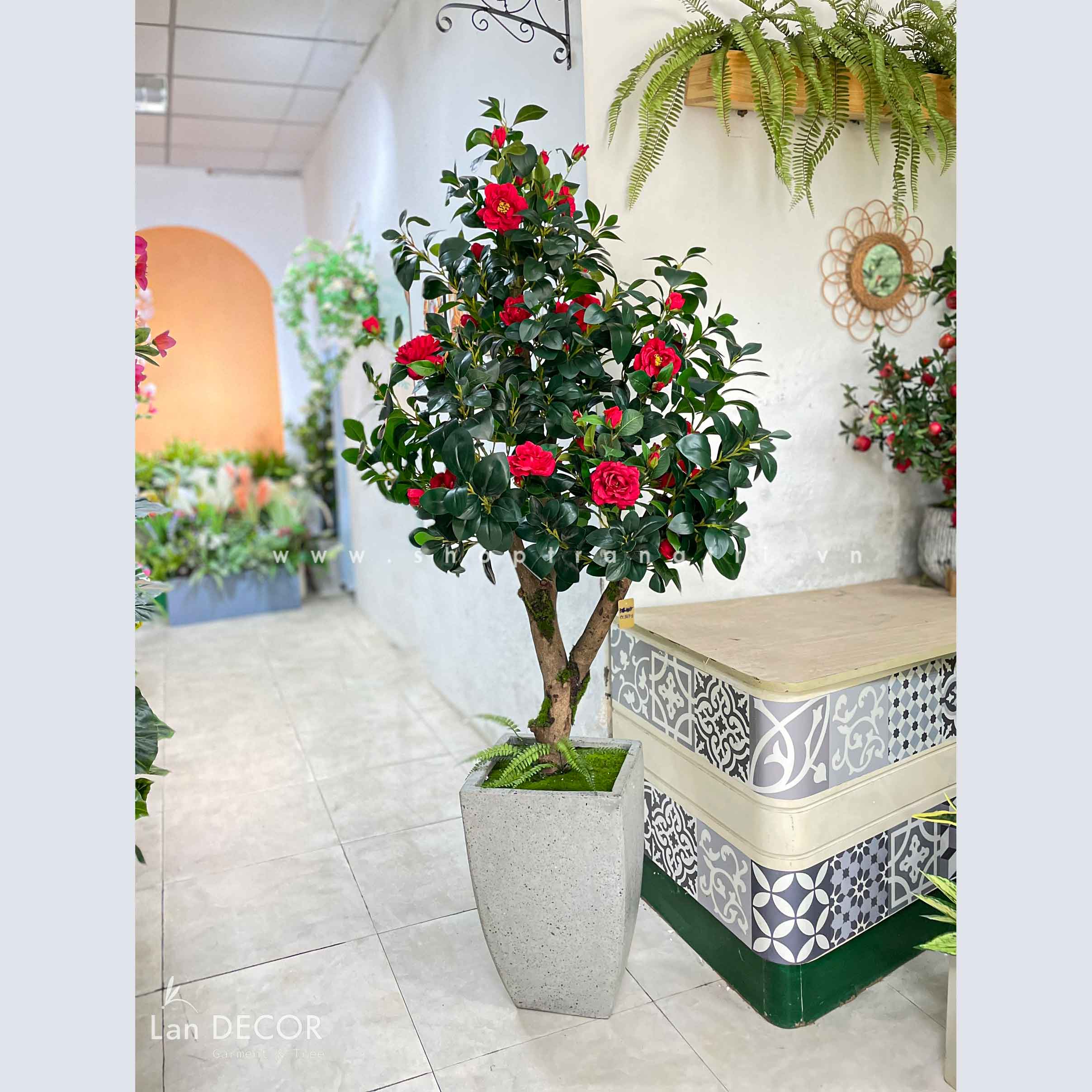Chậu cây hoa trà đỏ trang trí nội thất Lan Decor (180cm) - CC563