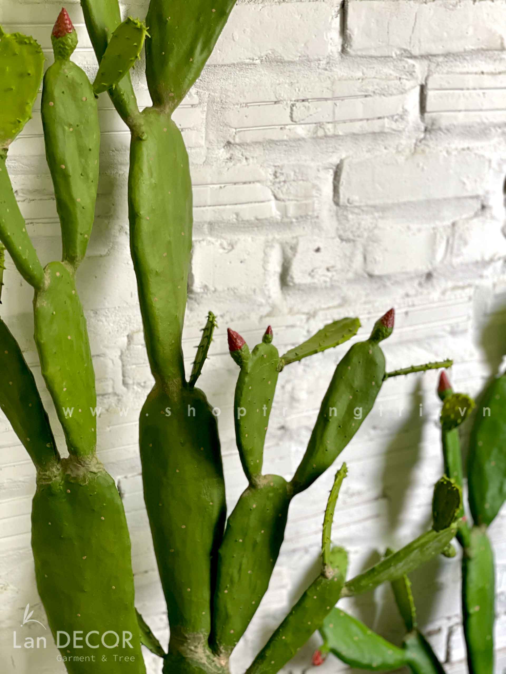 CÂY XƯƠNG RỒNG TAI THỎ TRANG TRÍ ĐẸP LAN DECOR (95cm) - HC1050