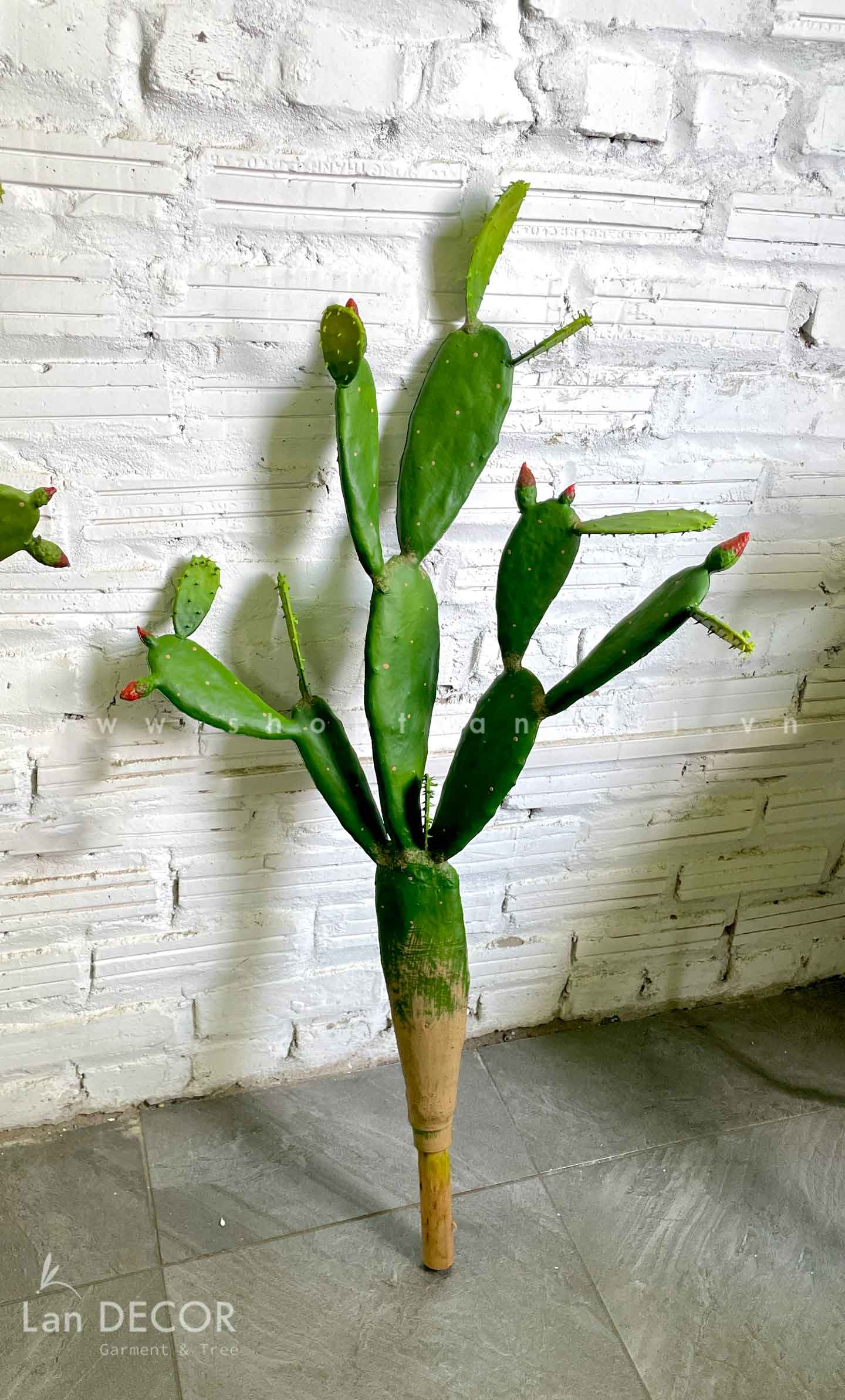 CÂY XƯƠNG RỒNG TAI THỎ TRANG TRÍ ĐẸP LAN DECOR (95cm) - HC1050