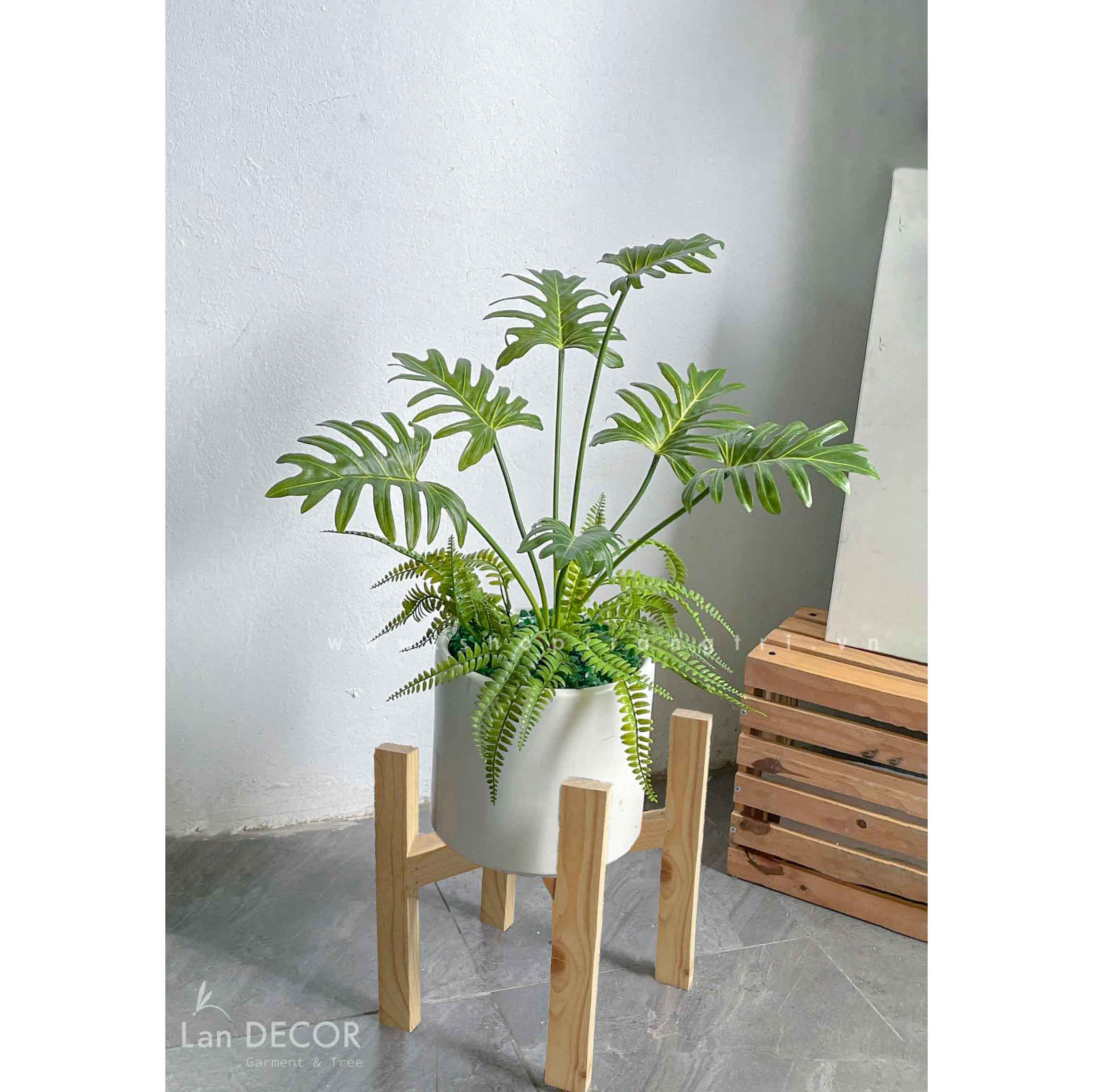 CHẬU CÂY  MONSTERA MIX HIỆN ĐẠI TRANG TRÍ NHÀ  - CC629