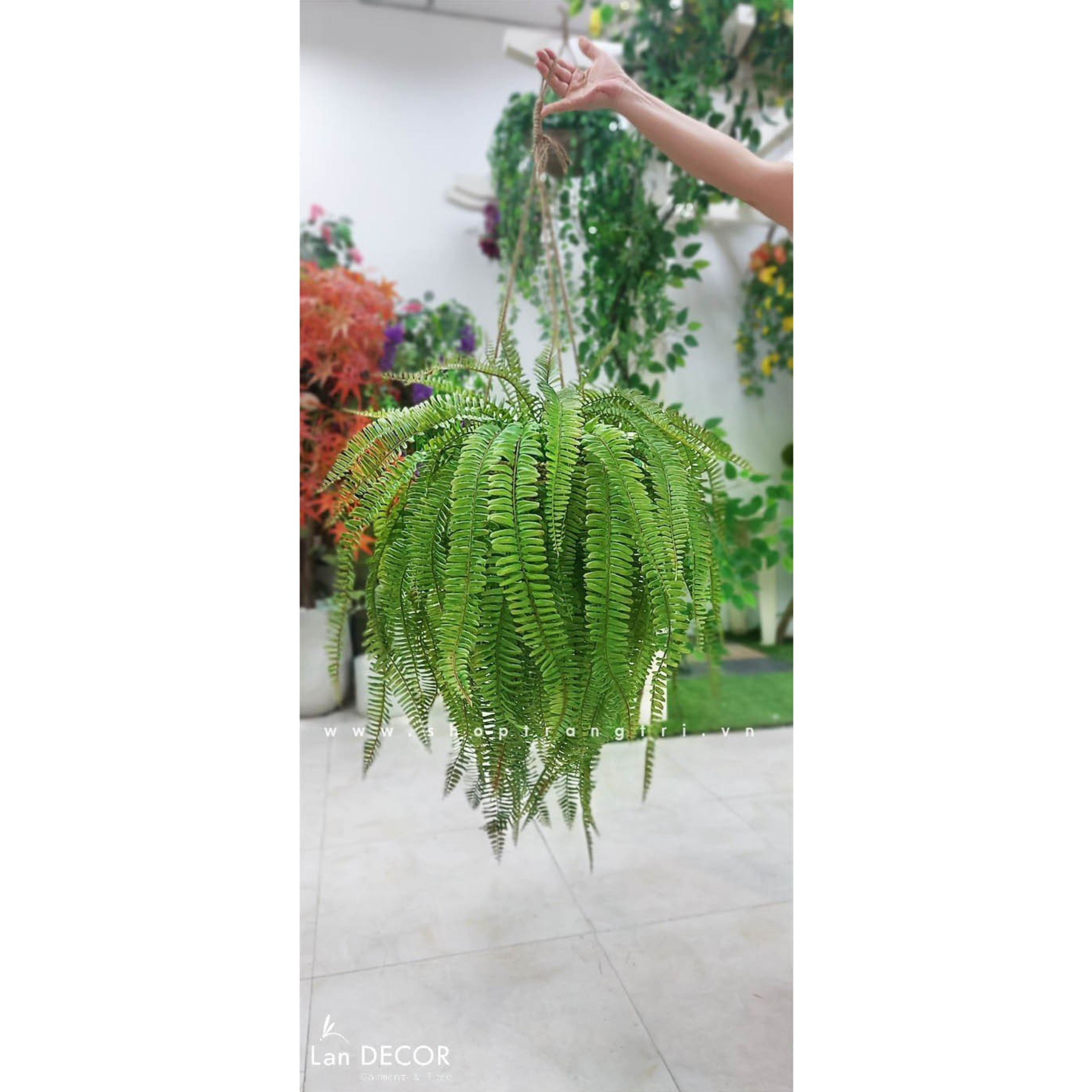 GIỎ DƯƠNG XỈ RỦ TREO LAN DECOR  - CC651