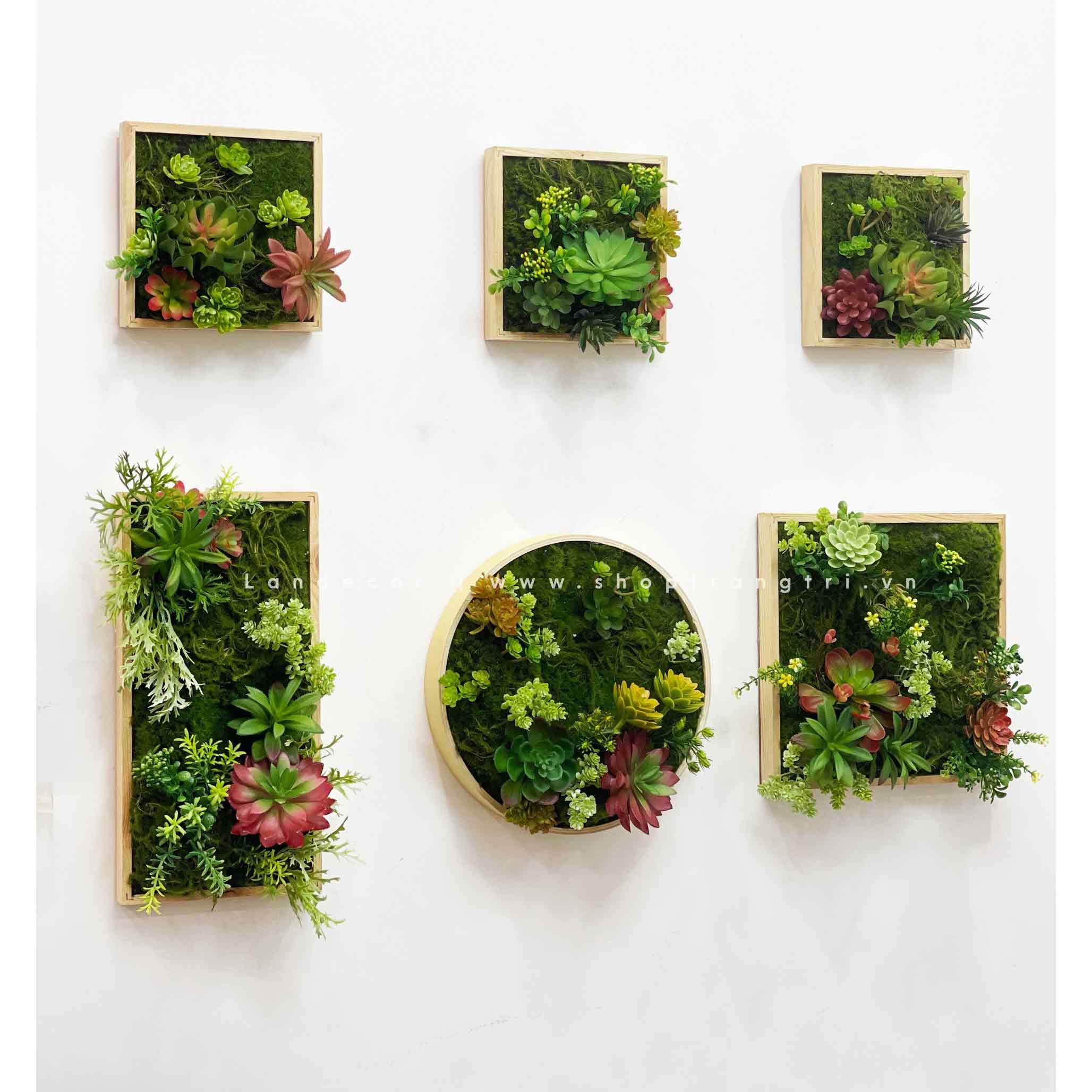 BỘ TRANH RÊU SEN ĐÁ TREO TƯỜNG DECOR ĐỘC ĐÁO, SANG TRỌNG