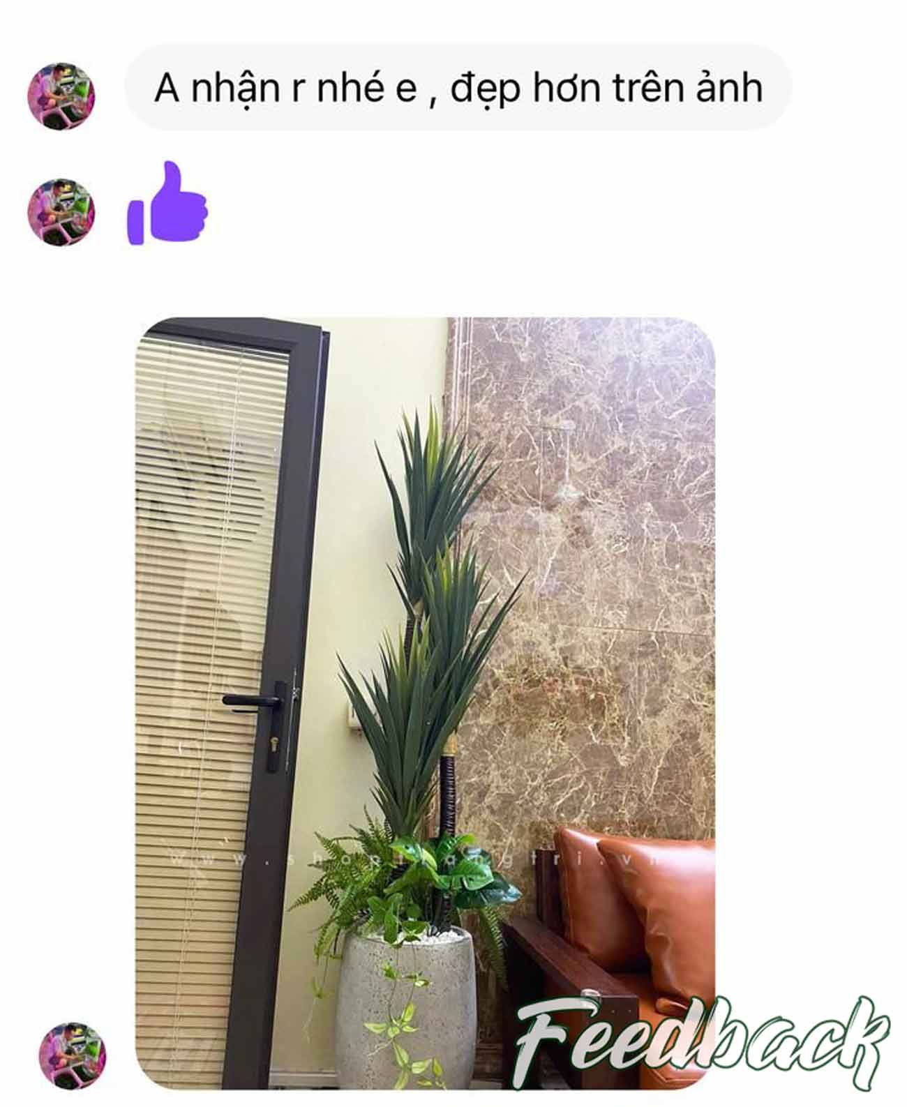 Chậu cây phát tài núi mix tiểu cảnh trang trí nội thất cao 1,5m - LC3005 mix