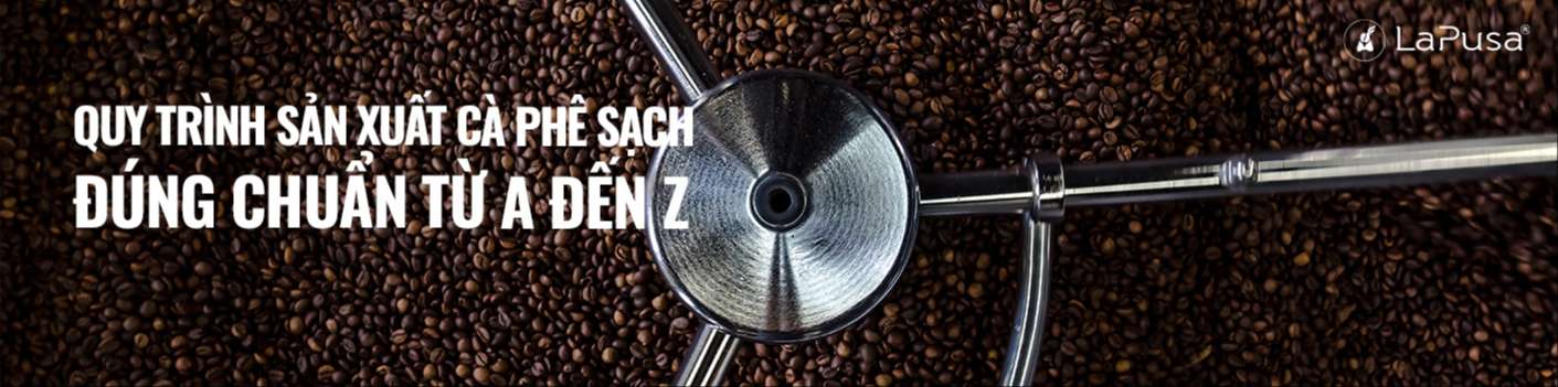 Quy trình sản xuất cà phê sạch đúng chuẩn từ A đến Z