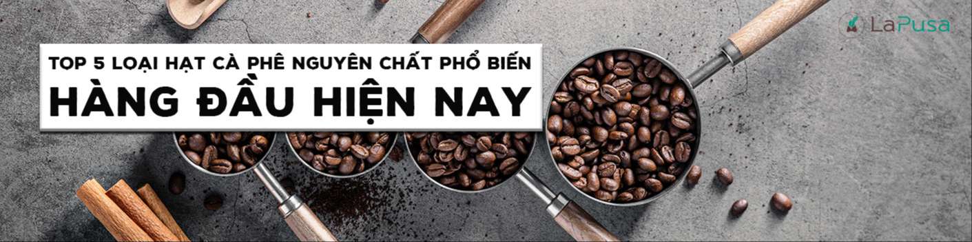 Top 5 loại hạt cà phê nguyên chất phổ biến hàng đầu hiện nay