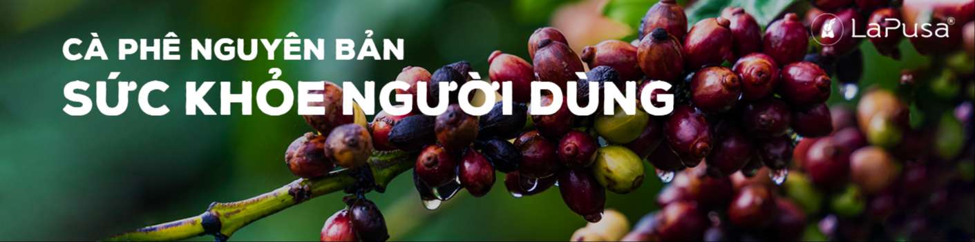 Cà phê nguyên bản và các lợi ích tuyệt vời với sức khỏe người dùng