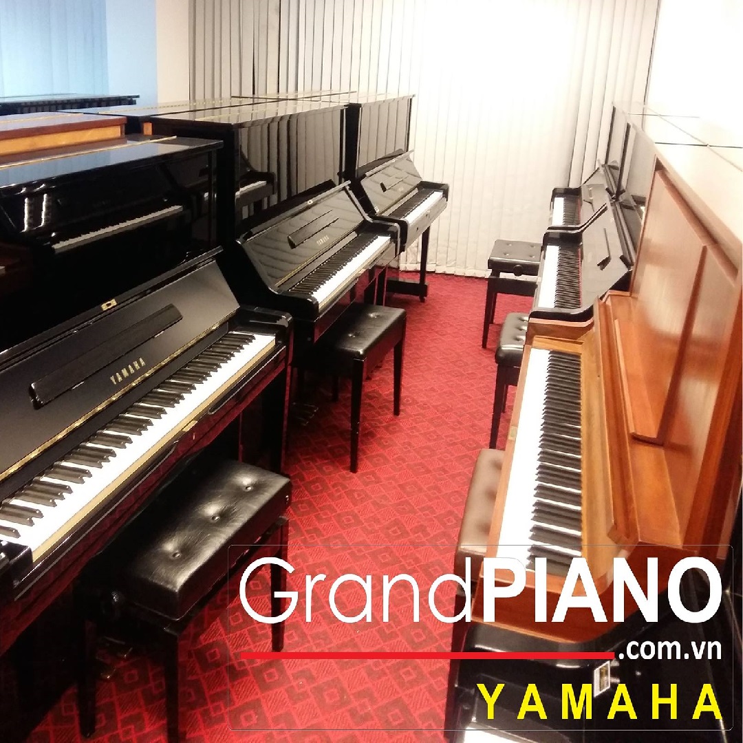 piano-chat-luong-gia-re-tai-ha-noi-grandpiano-ha-noi