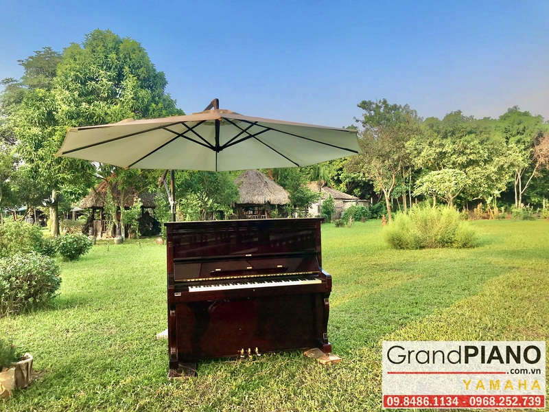 khong-gian-moi-cung-cay-dan-piano