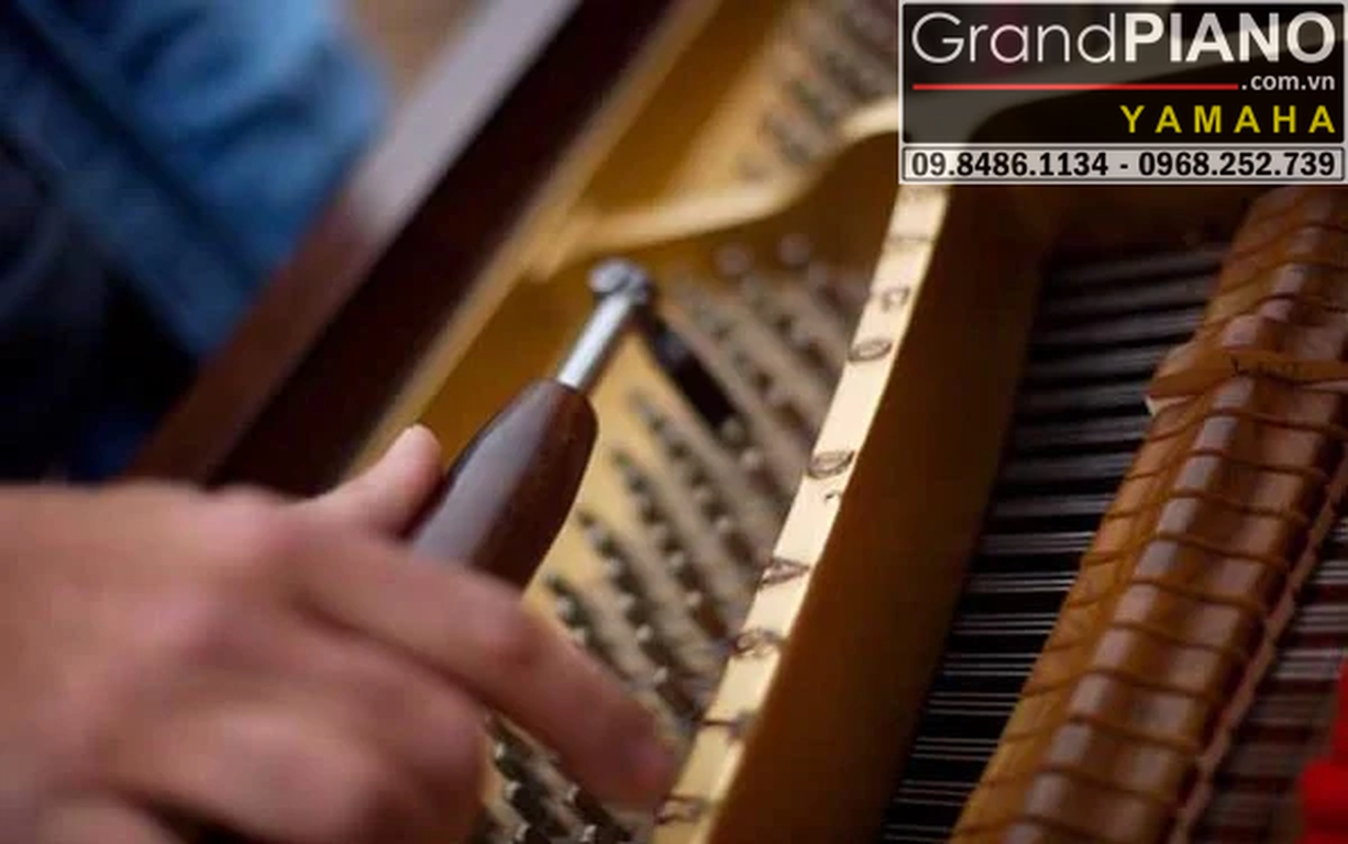 len-day-dan-piano-quan-trong-nhu-the-nao