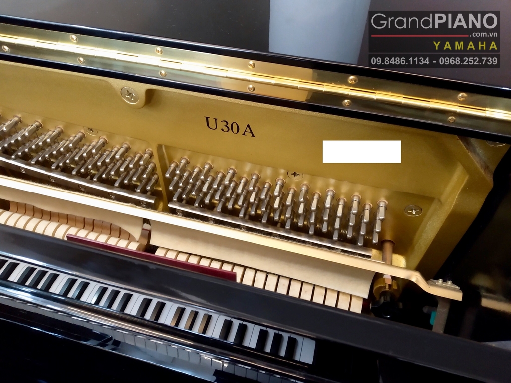 dan-piano-yamaha-u30a-grand-piano-am-thanh-quyen-ru-loi-cuon-su-hung-khoi-cua-ng