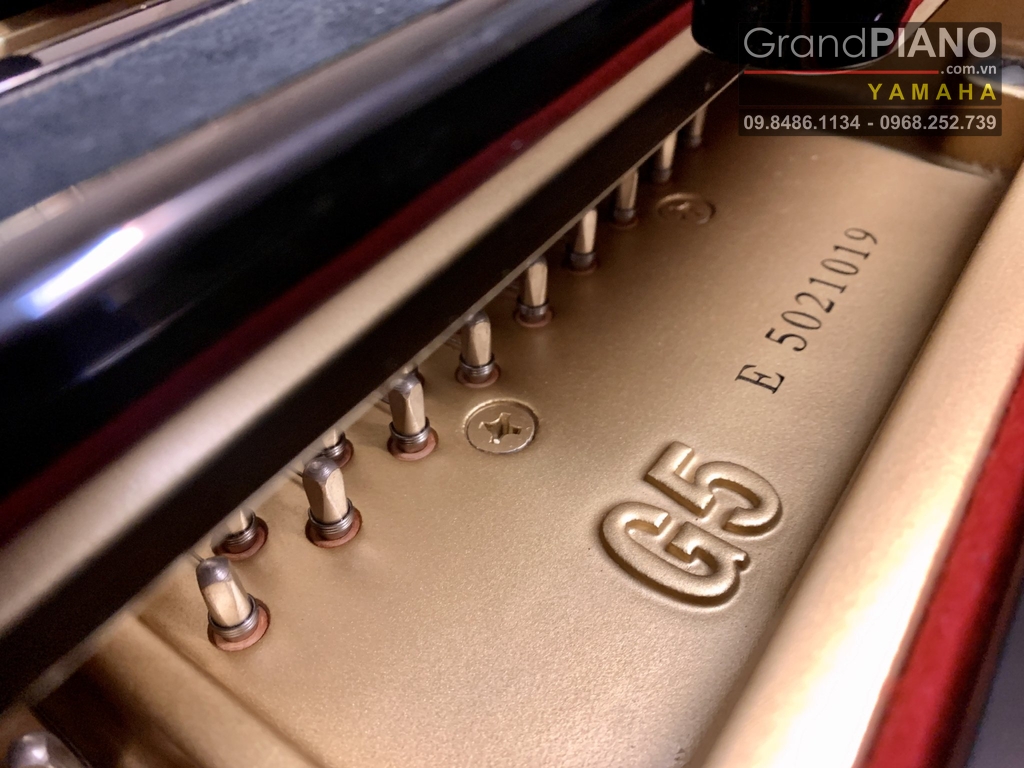 dan-grand-yamaha-g5e-dinh-cao-ve-chat-luong-am-thanh