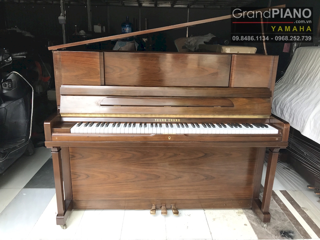 dan-piano-thiet-ke-lap-dan-mo-phong-dan-grand-doc-la