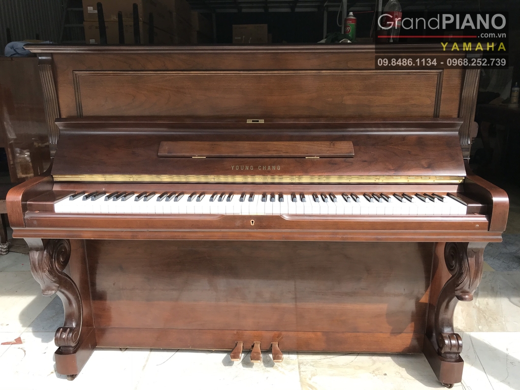 dan-piano-am-thanh-day-dan-mau-sac-bat-mat