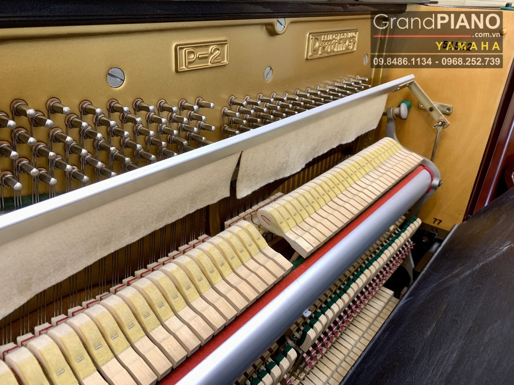 dan-piano-pruthner-p2-grand-piano-su-giao-thoa-hoan-hao-ve-am-sac-cua-cac-hang-d