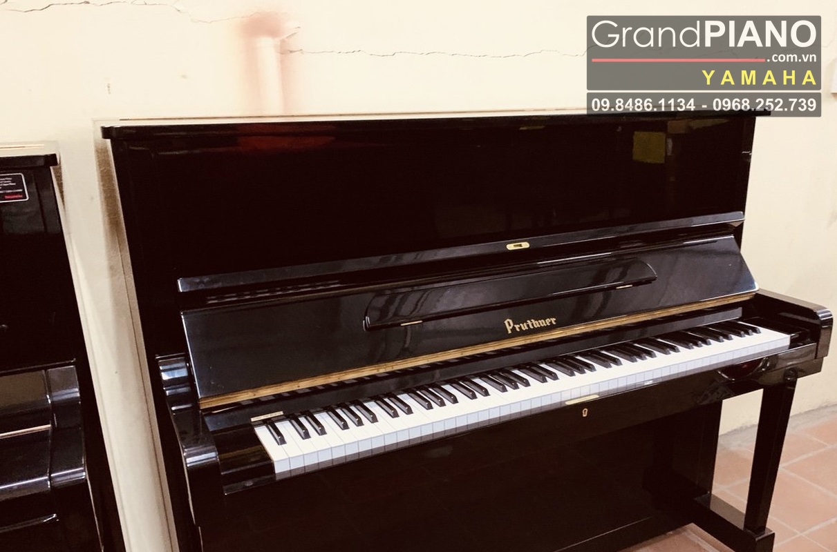 dan-piano-pruthner-p2