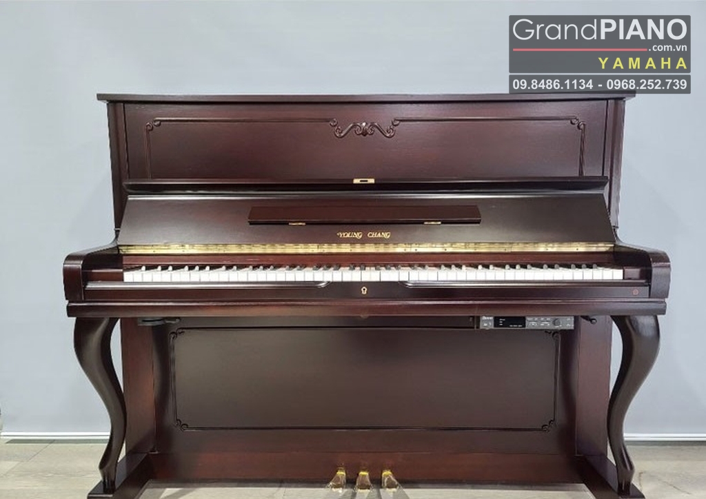 dan-piano-young-chang-u121c-seri-12970xx
