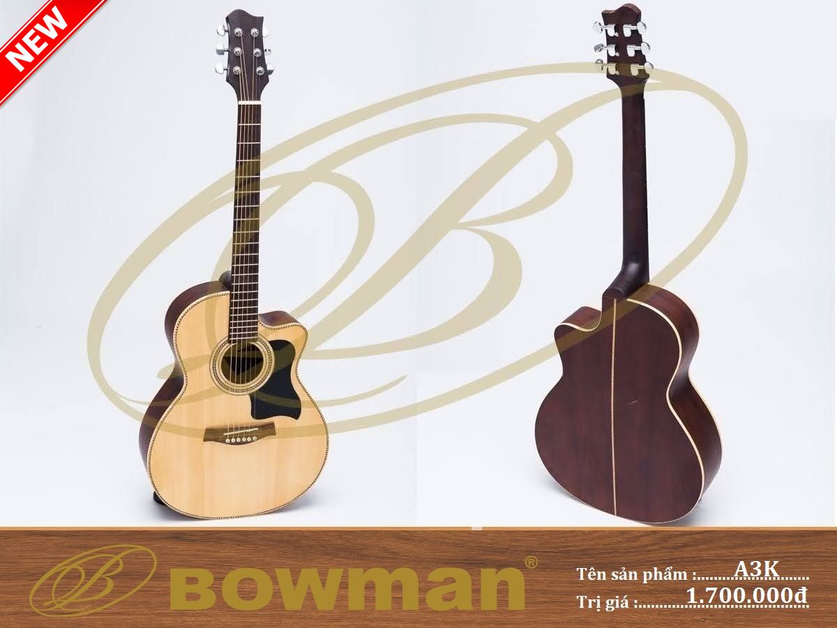 dan-guitar-bowman-acoustic-a3k-2023