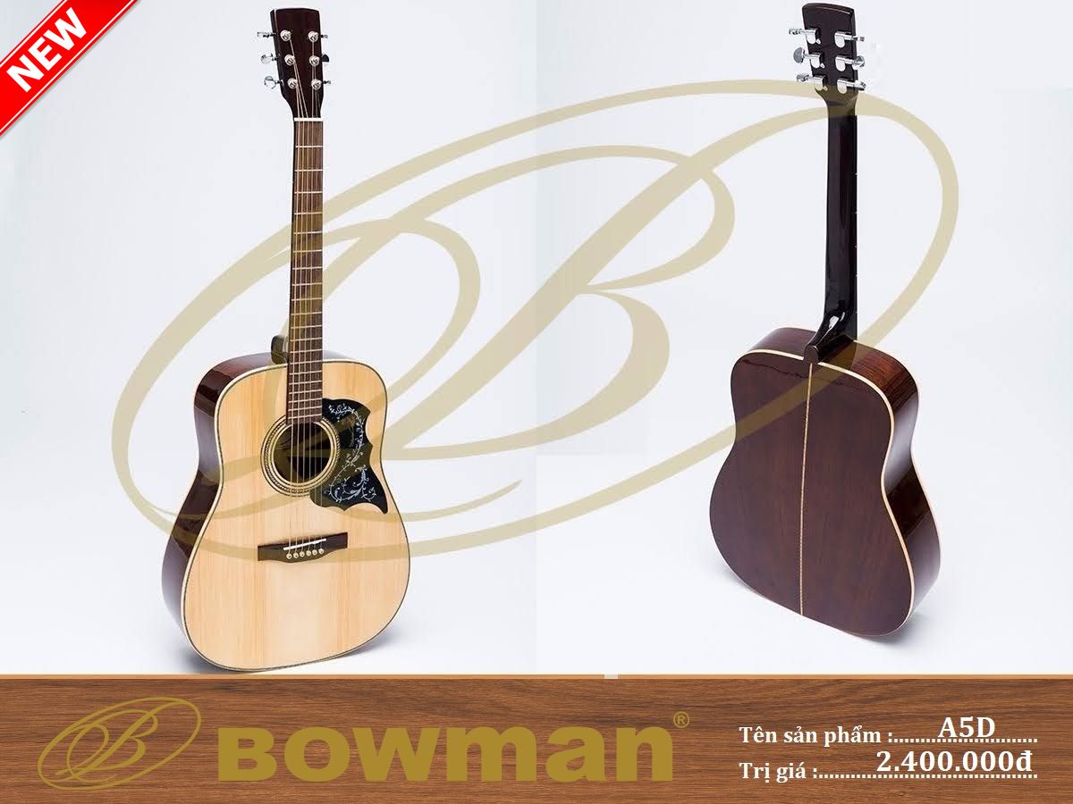 dan-guitar-bowman-acoustic-a5d-2023
