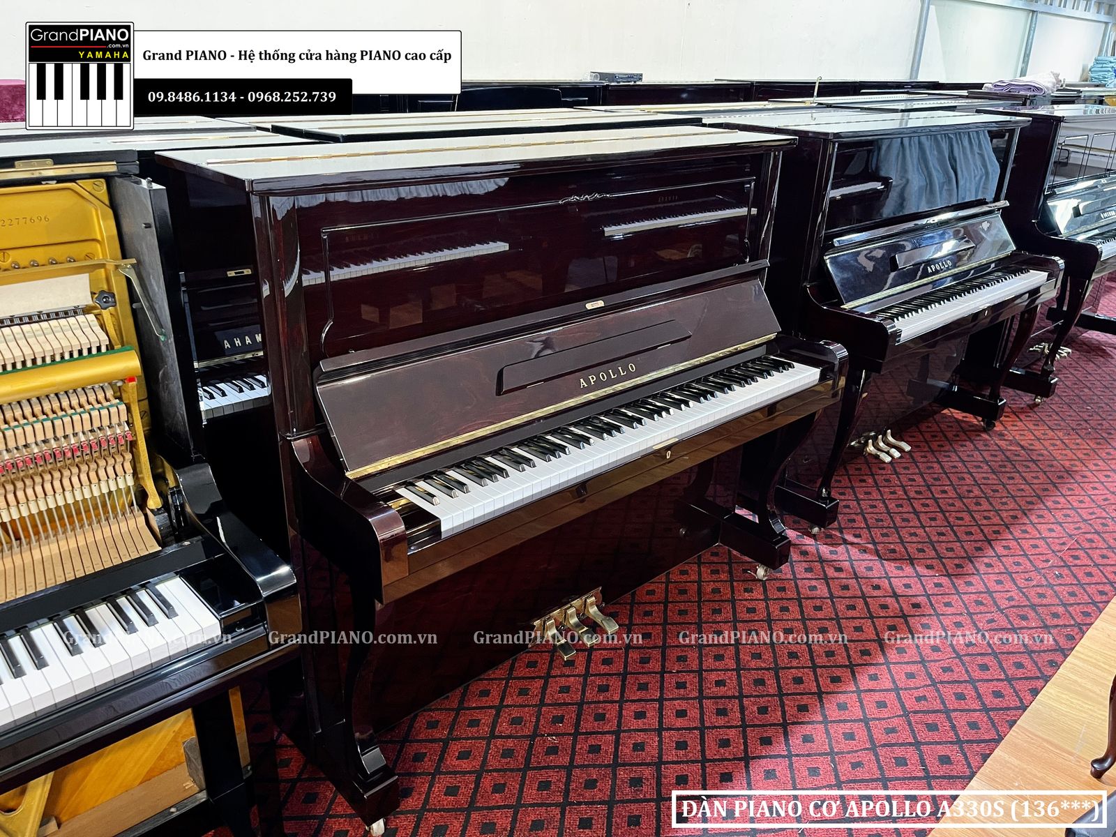 dan-piano-co-apollo-a330s-136