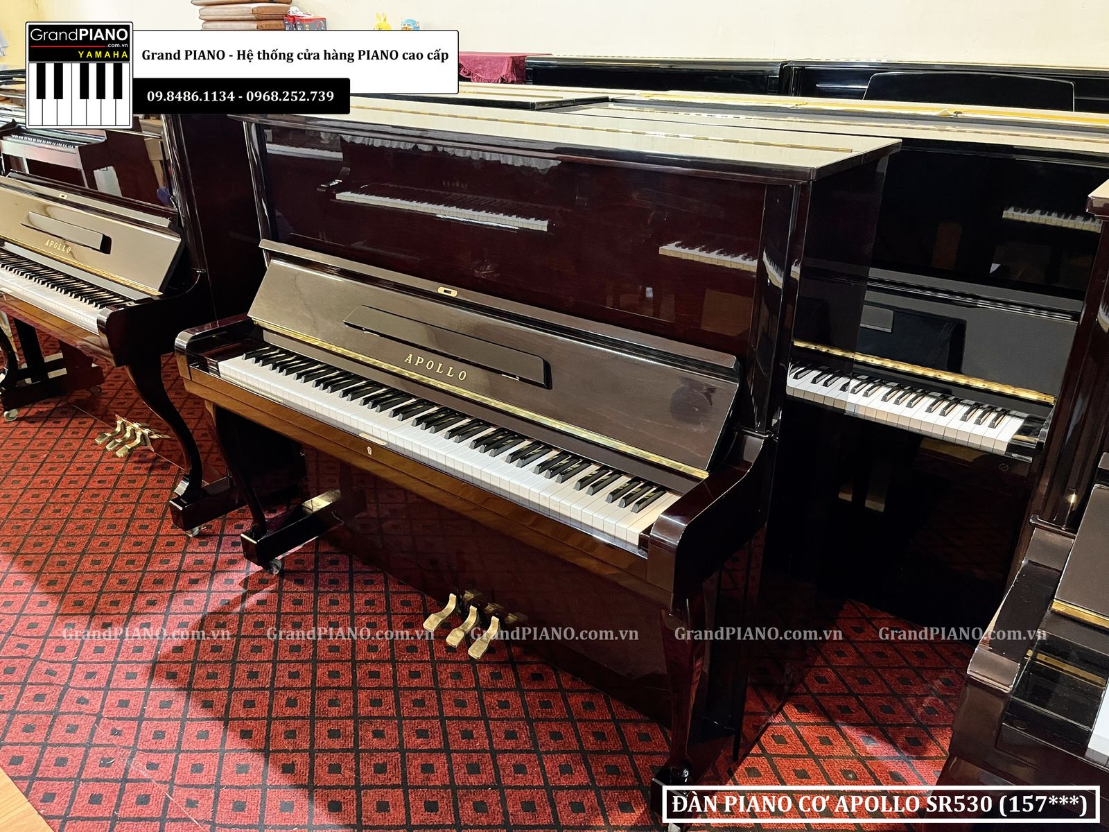 dan-piano-co-apollo-sr530-157