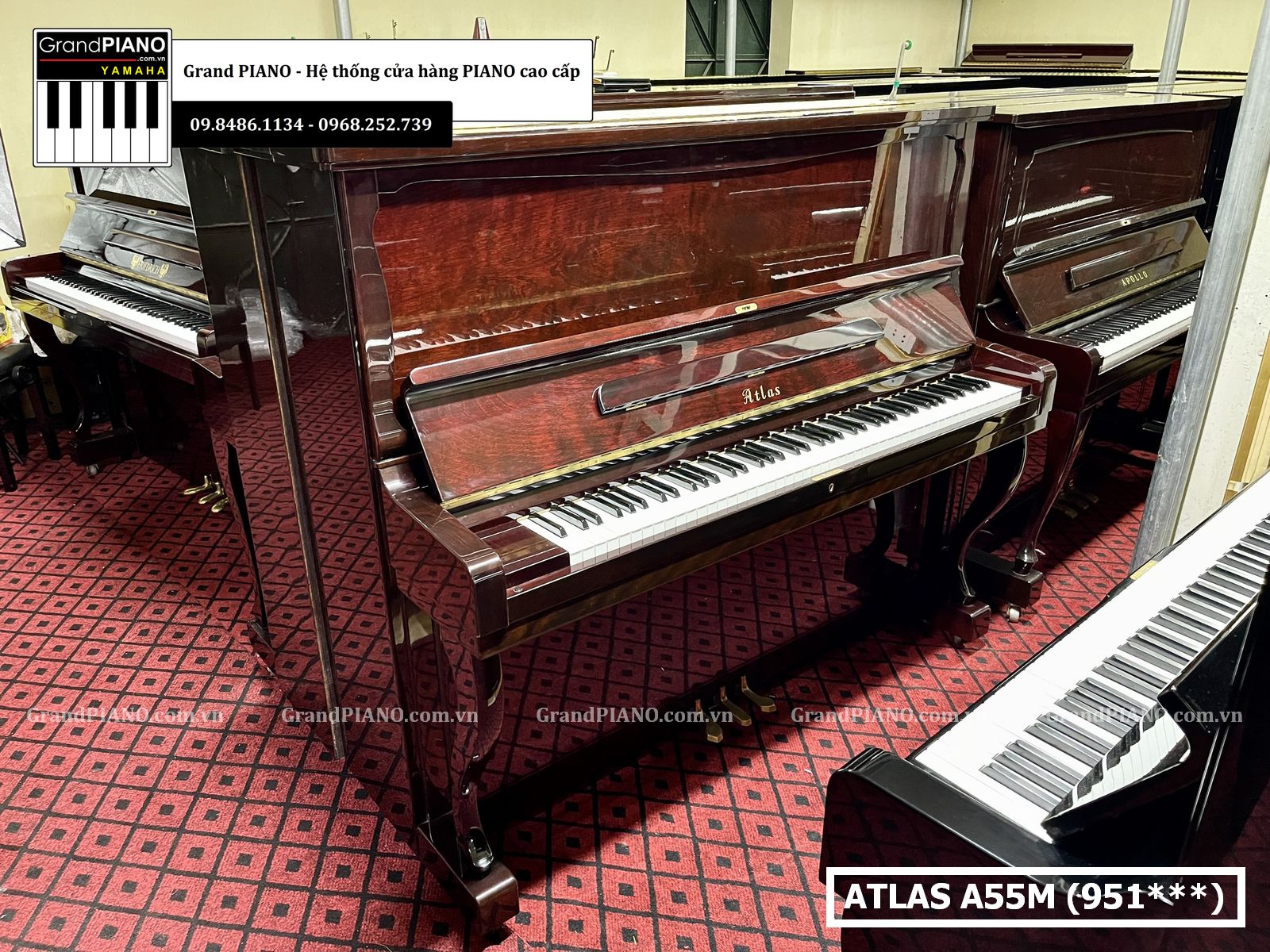 dan-piano-co-atlas-a55m-951