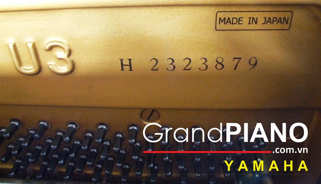 yamaha-u3h