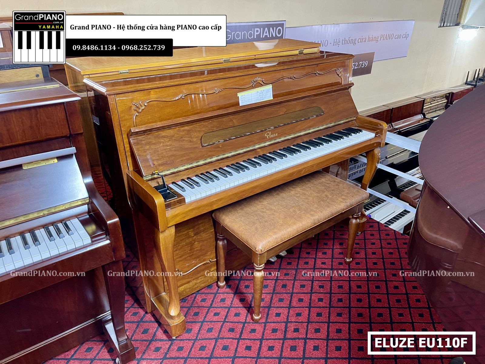 dan-piano-co-eluze-eu110f