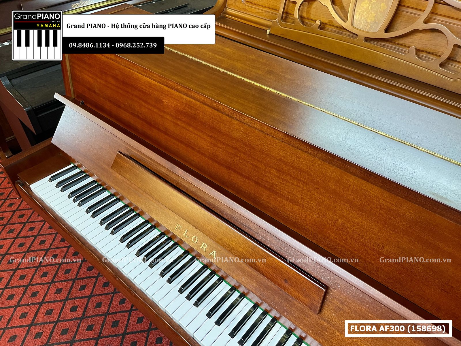 dan-piano-co-flora-af300-158