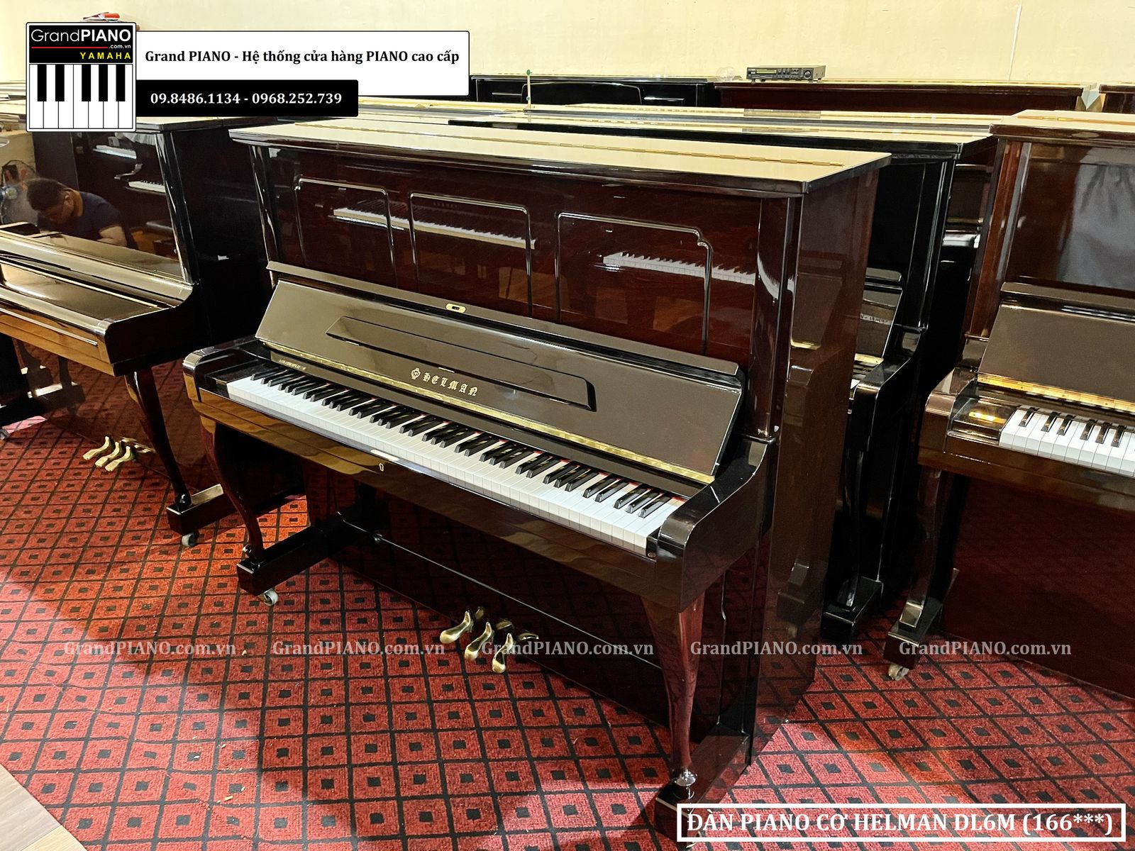 dan-piano-co-helman-dl6m-166