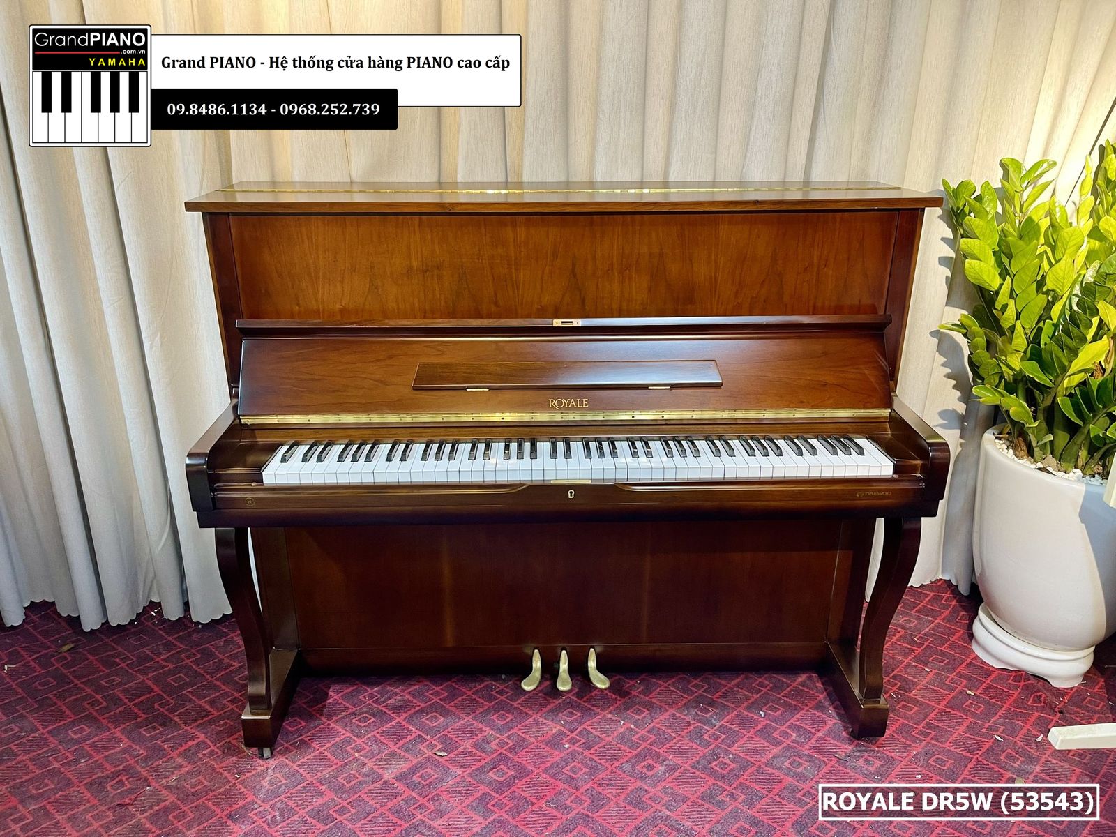dan-piano-co-royaledr5w