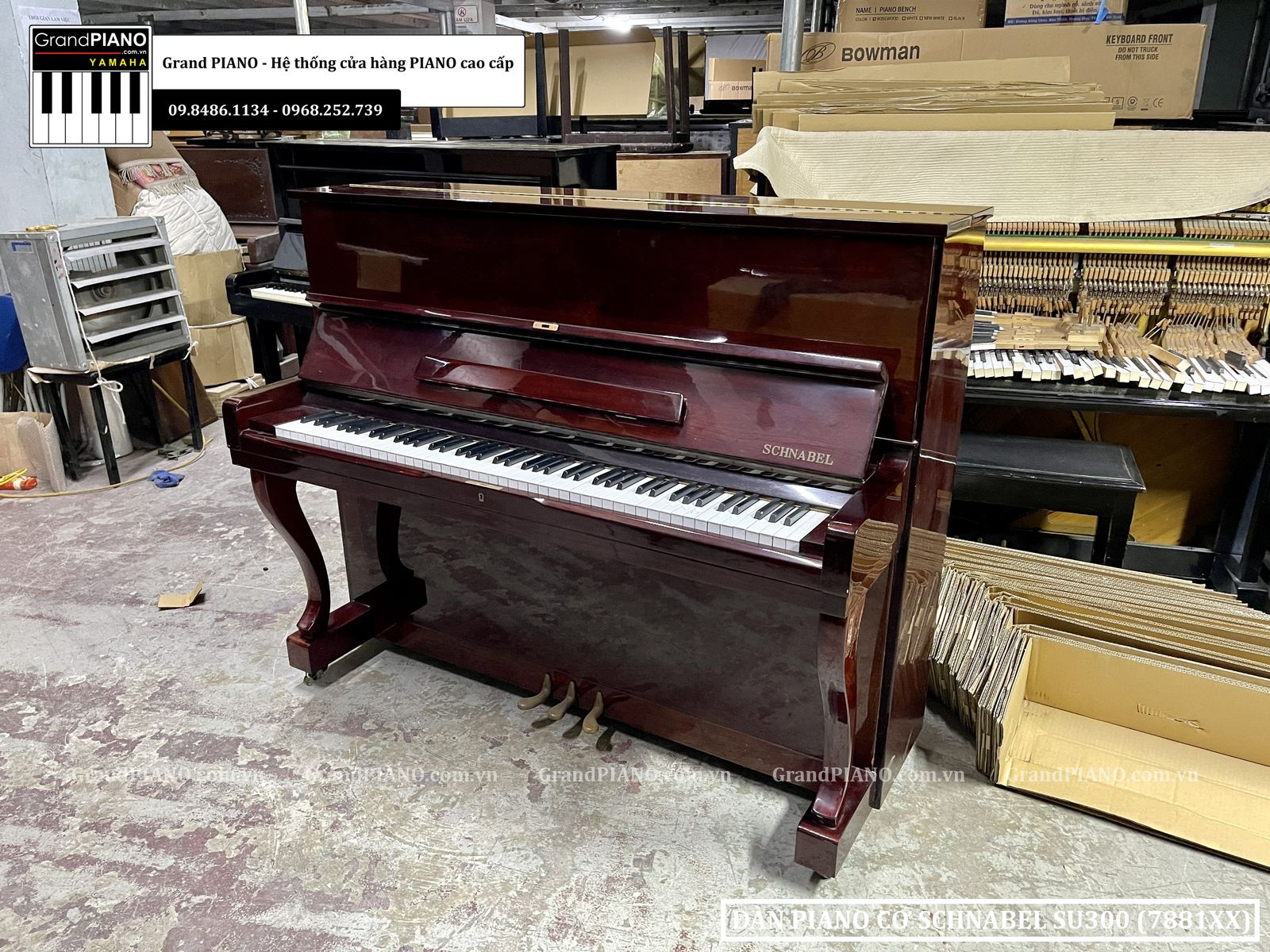 dan-piano-co-schnabel-su300-7881xx
