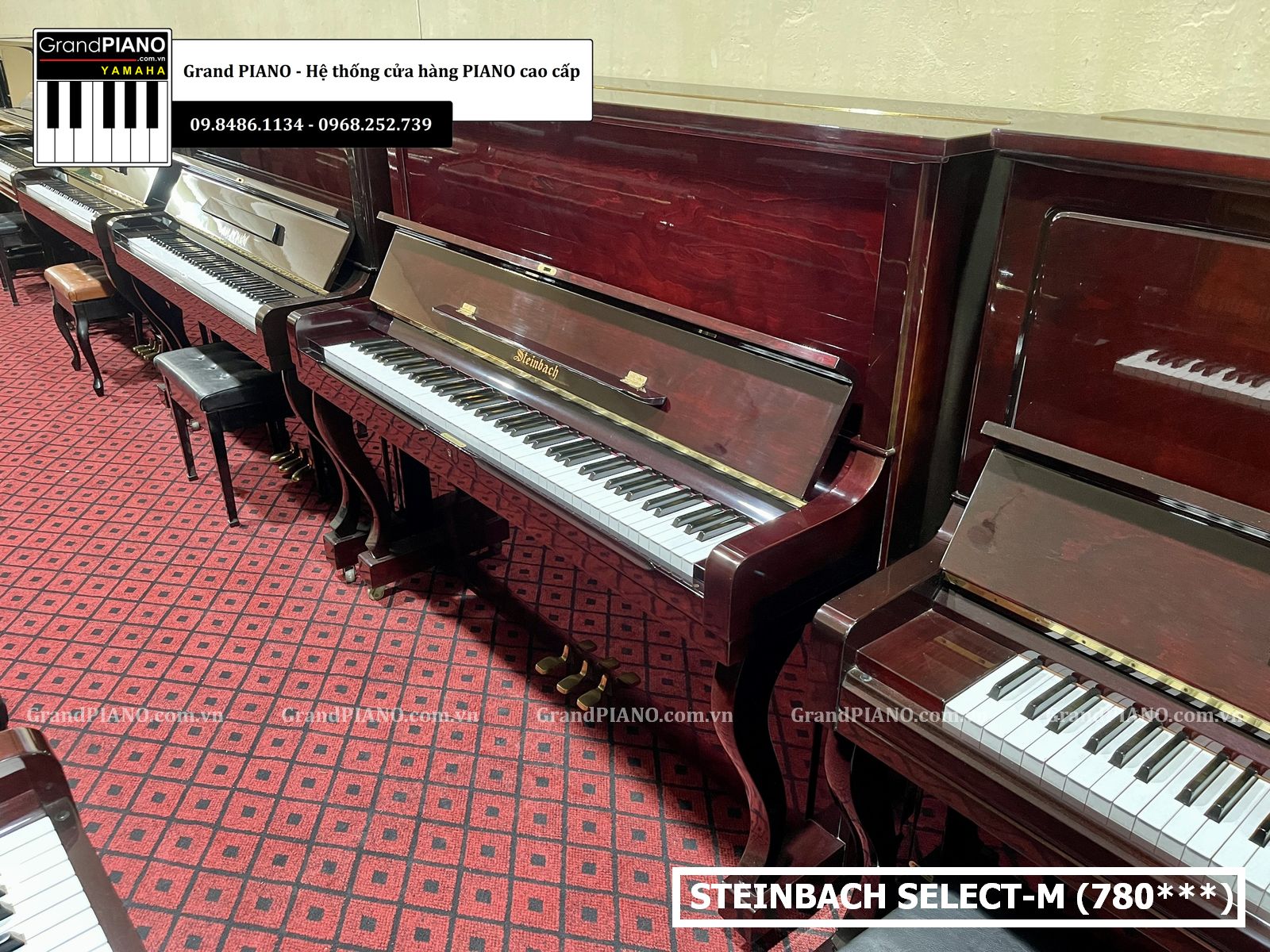 dan-piano-co-steinbach-selectm-780