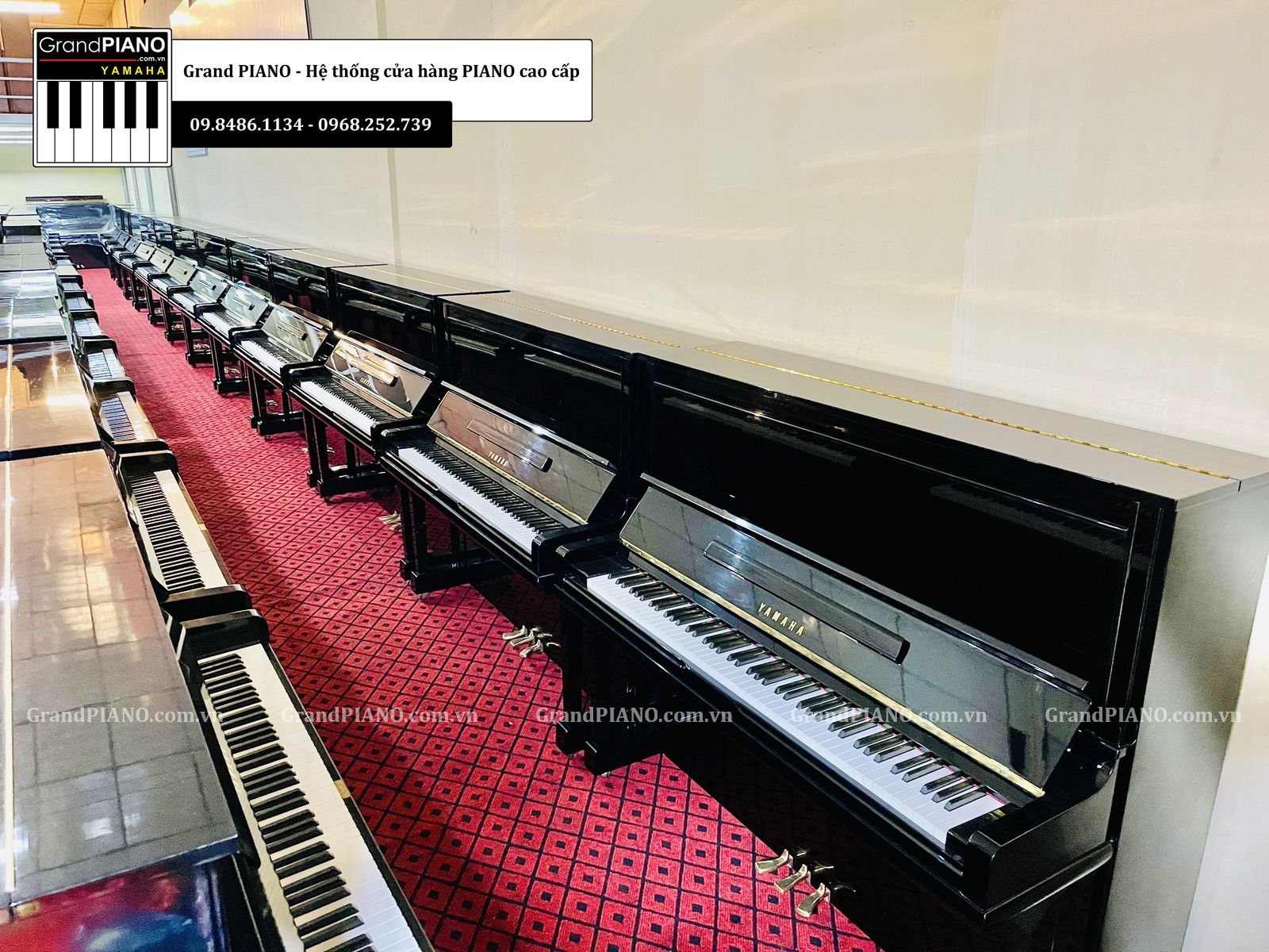 dan-piano-grand-yamaha-g5e-3530