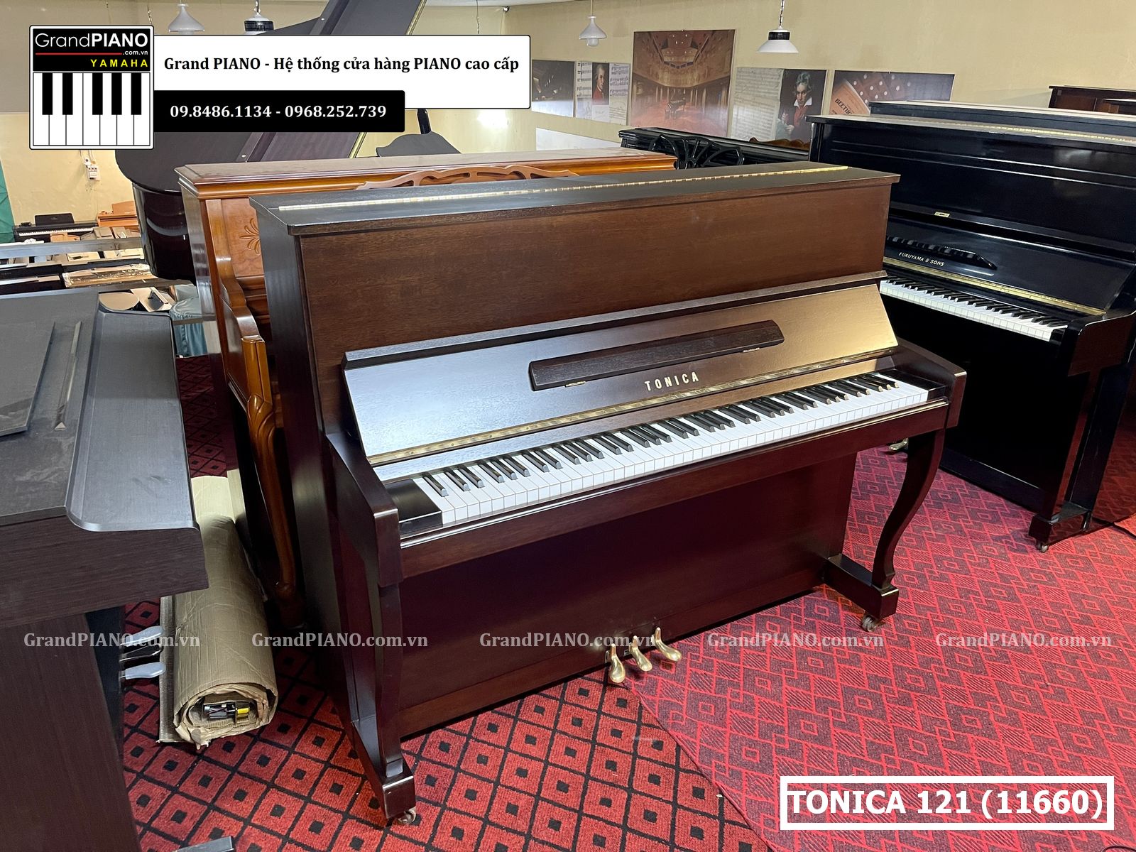 dan-piano-co-tonica121-11660