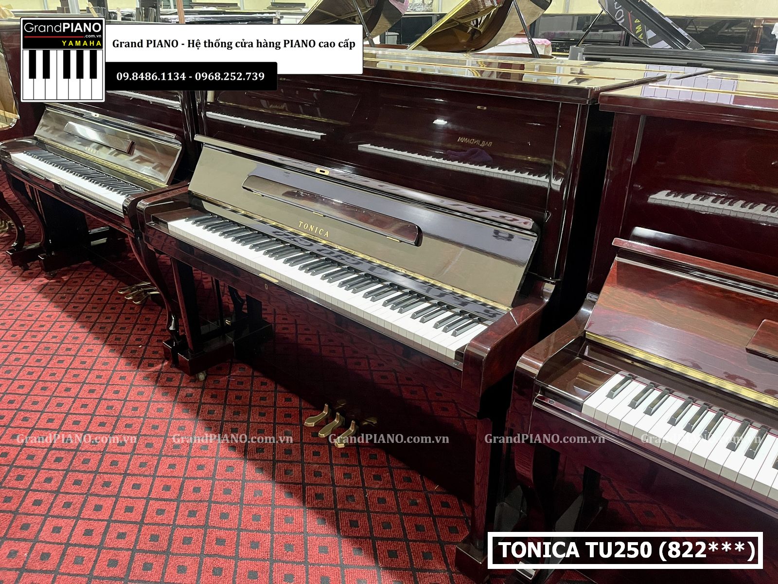 dan-piano-co-tonica-tu250-822