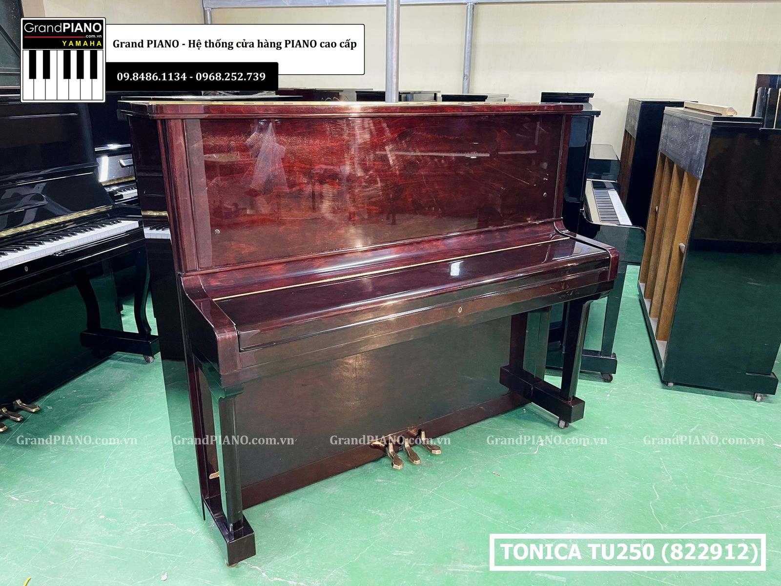 dan-piano-co-tonica-tu250-822912
