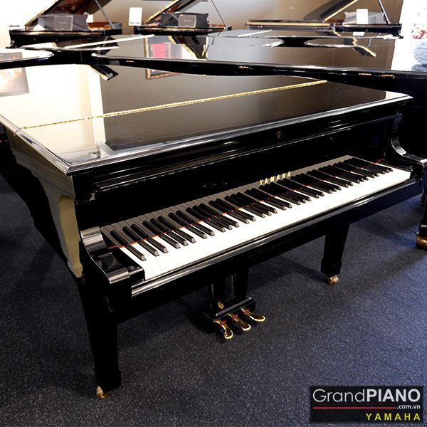 yamaha-c5-seri-6223471
