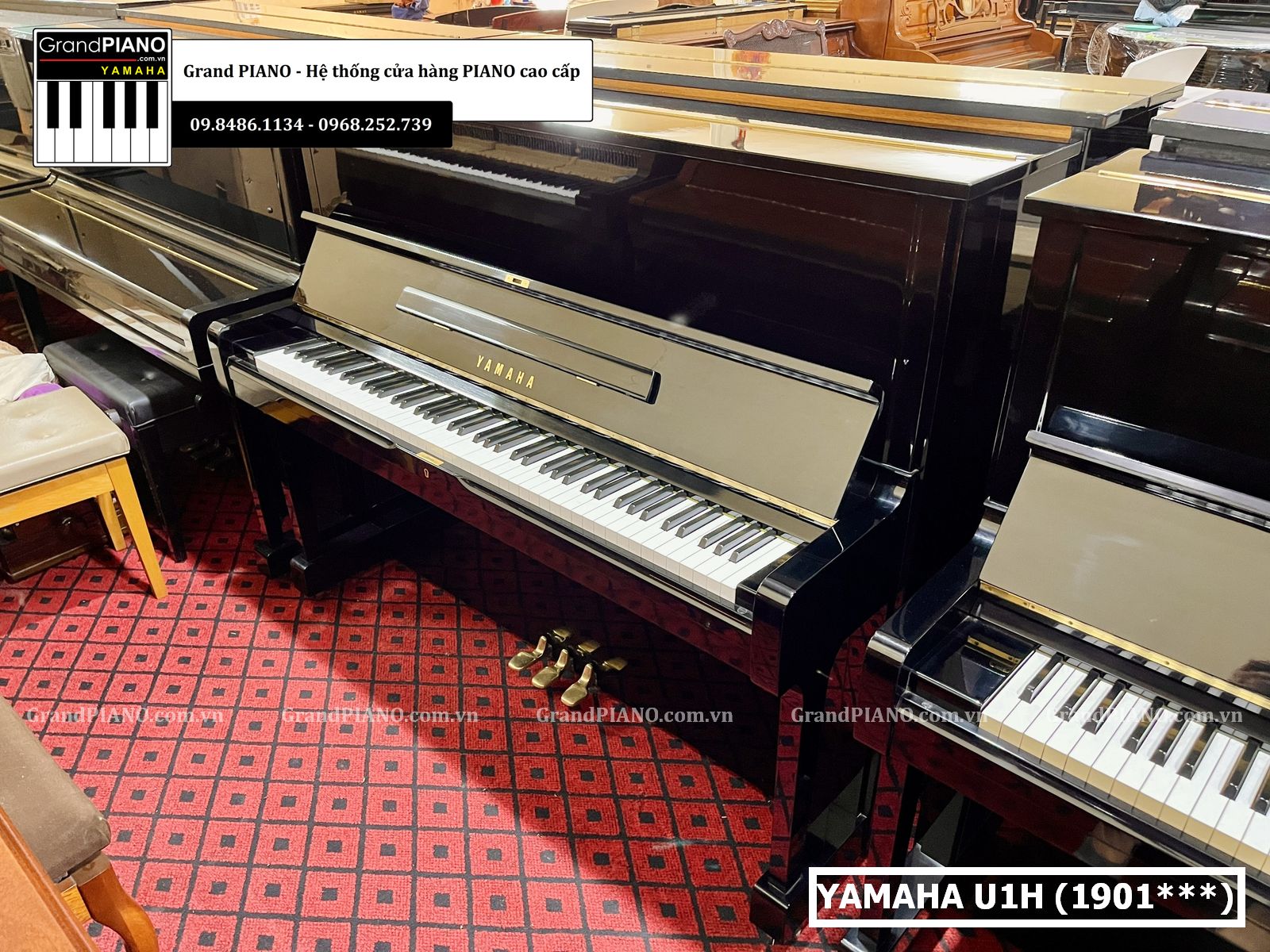 dan-piano-co-yamaha-u1h-1901