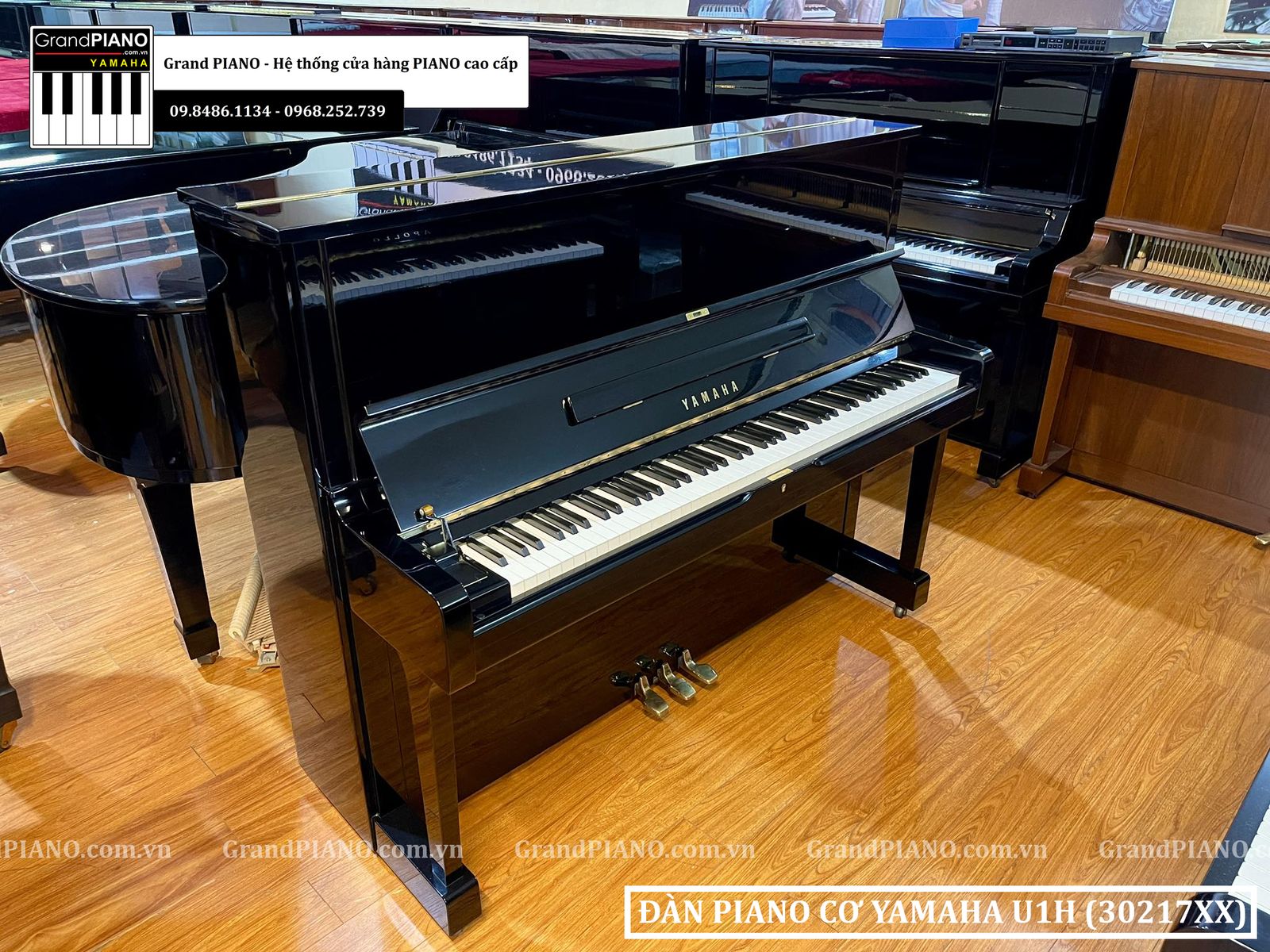 dan-piano-co-yamaha-u1h-30217xx
