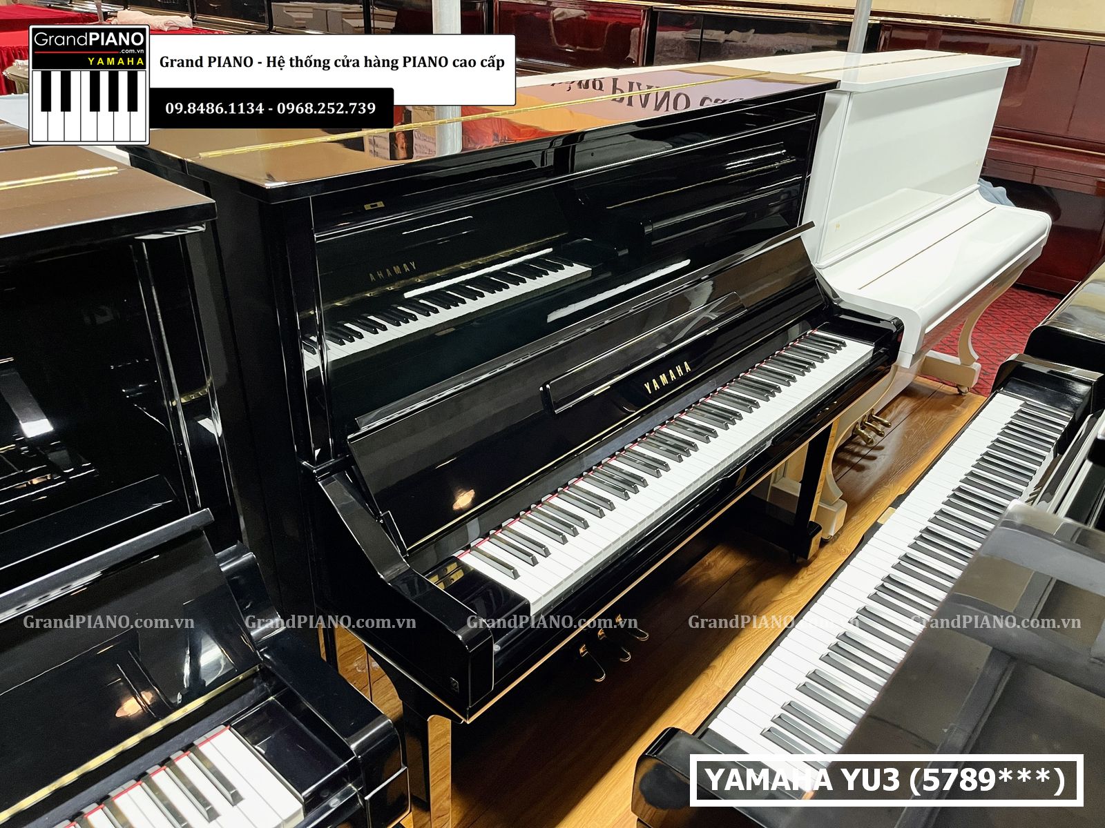 dan-piano-co-yamaha-yu3-5789