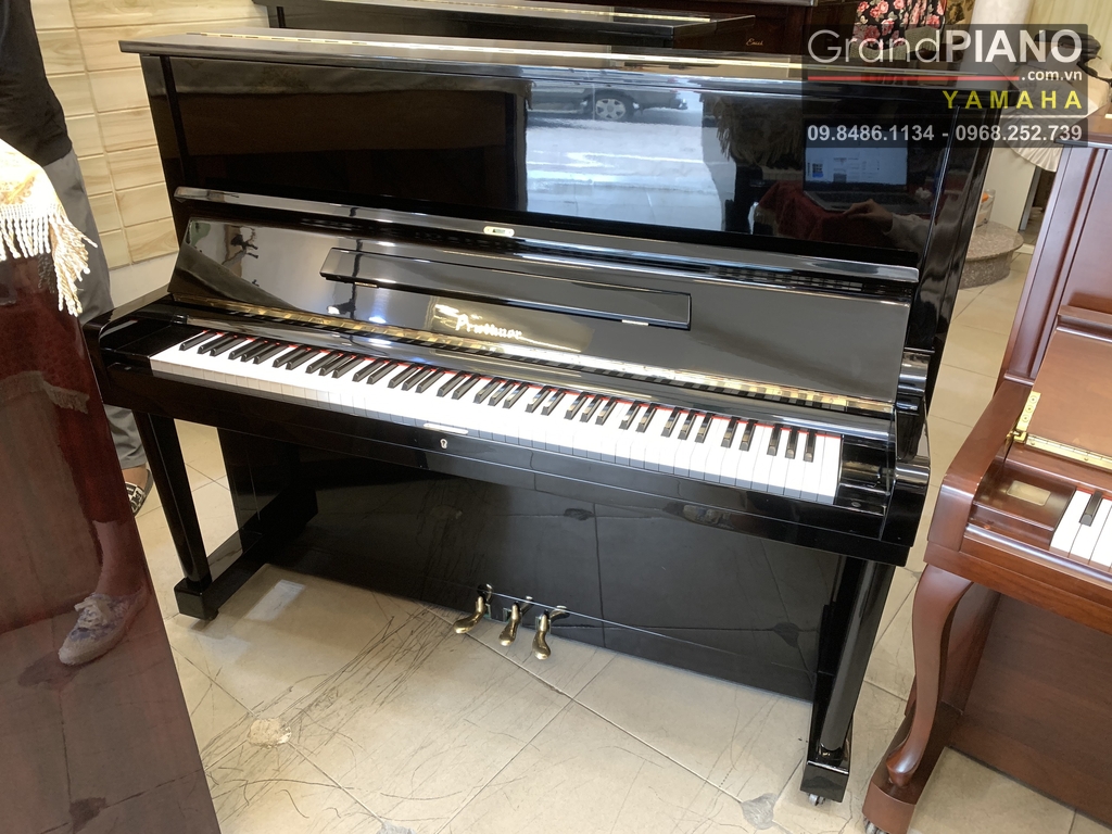 dan-piano-pruthner-p2-54522