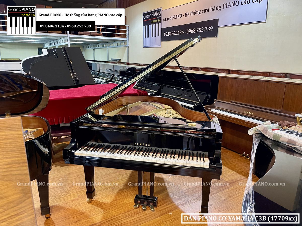 dan-piano-co-yamaha-c3b-4770995