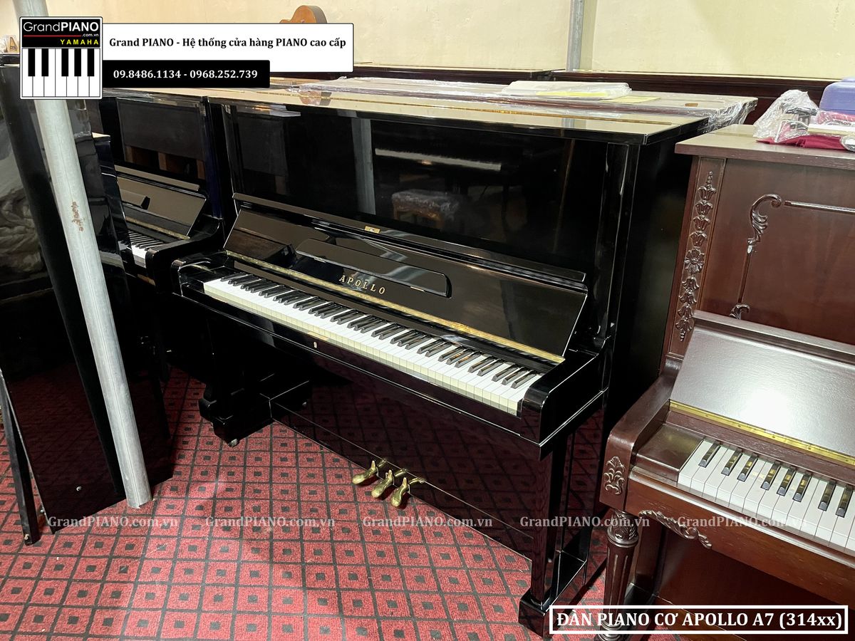 dan-piano-co-apollo-a7-314xx