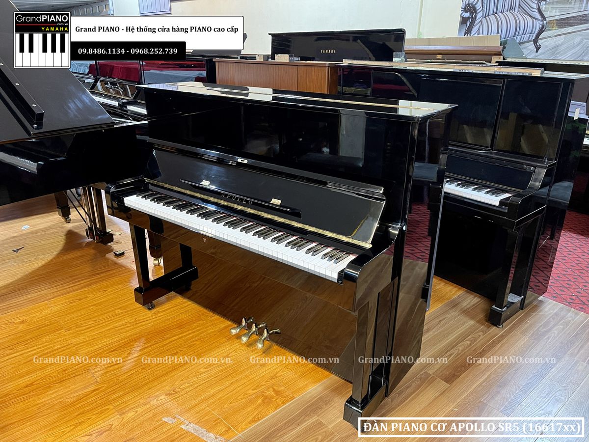 dan-piano-co-apollo-sr5-1661xx