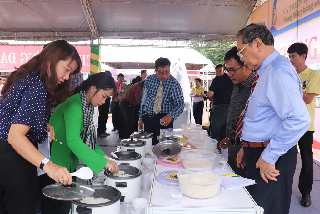 Gạo An toàn SA KÊ VD20 EXPORT đạt giải Vàng tại Lễ hội lúa gạo ĐBSCL