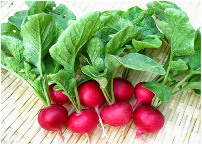 Mê mẩn vườn rau xanh mướt trên sân thượng 40m² với chi phí 7 triệu đồng của người chồng chiều vợ